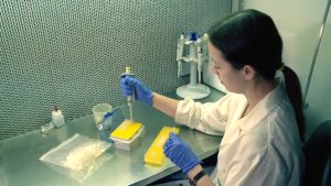 Le rôle insoupçonné du microbiome des feuilles : découverte de l&rsquo;année