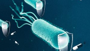 Causerie virtuelle: «Résistance aux antibiotiques – Une menace bien réelle»