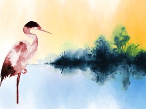 Conférence: «Milieux humides: eaux de vies»