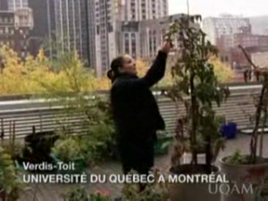 Verdis-Toit – Forces AVENIR 2008