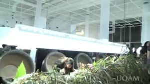 Cultiver son jardin au Centre de design