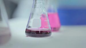 Flash sur la recherche en environnement à l&rsquo;UQAM