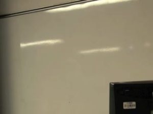 Conférence «The &lsquo;critical period&rsquo; debate: past, present, and future»