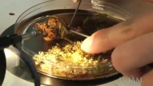 Témoignage: programmes en sciences de l&rsquo;environnement